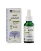 Plant Collagen