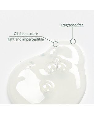 copy of Niacinamide + Zinc