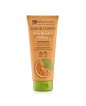 Toning Body Scrub - Ginkgo Bio and Vitamin C