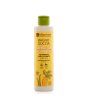 Delicate body cleanser carrot & vanilla – Dolce schiuma
