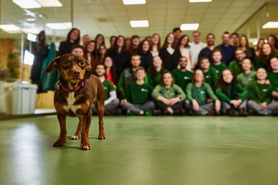 2024 TEAM 900x600 CLEA