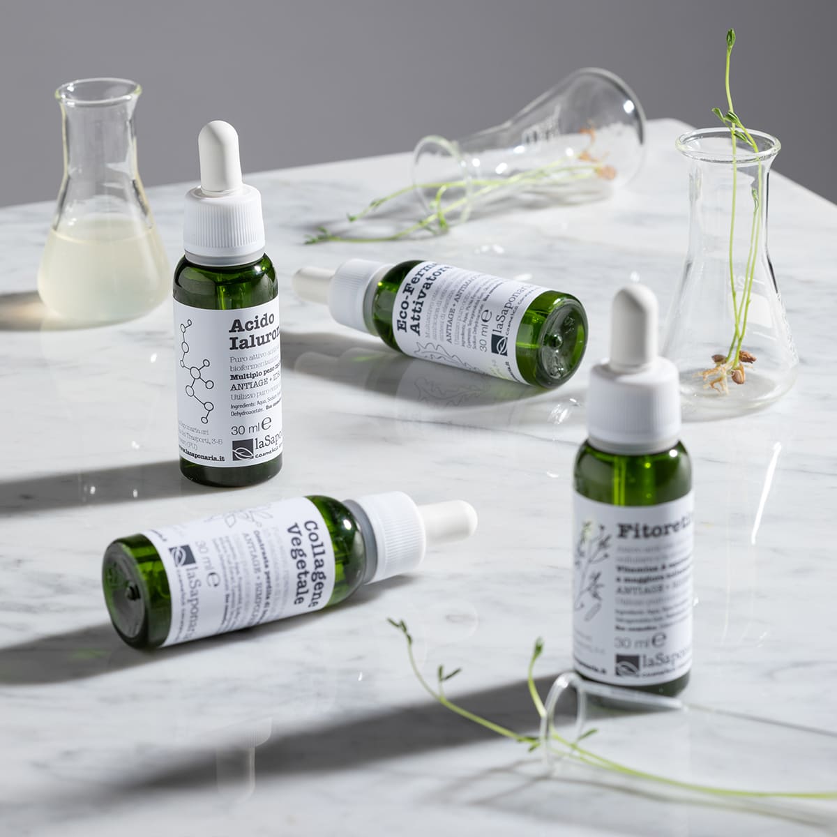 LineaAttiviGruppo 1200x1200