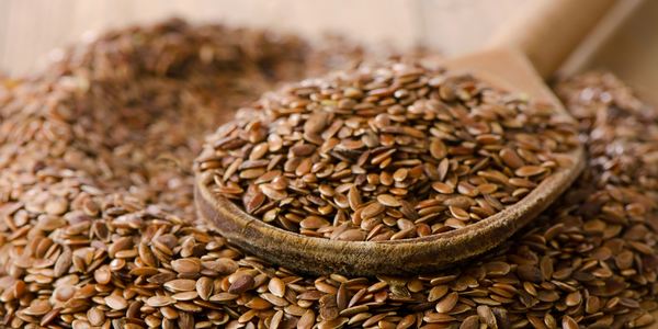Semi Di Lino Benefici Corpo